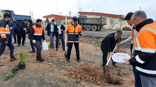 کاشت نهال توسط بیات بخشدار زنجانرود به مناسبت روز درختکاری