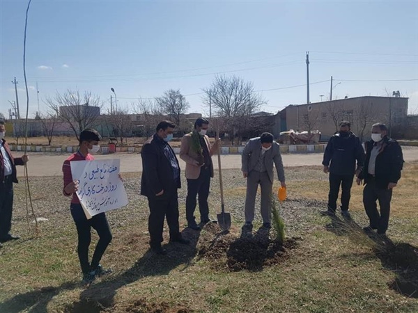 مراسم کاشت نهال به مناسبت هفته منابع طبیعی در شهر نیک پی