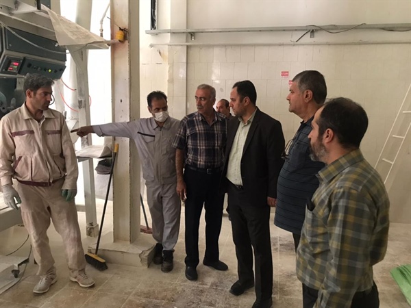 بازدید از کارخانجات آرد