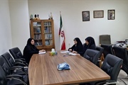 نشست مدیر کل امور بانوان و خانواده استانداری با مدیر کل امور...