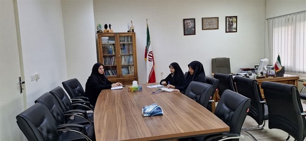 نشست مدیر کل امور بانوان و خانواده استانداری با مدیر کل امور اجتماعی و فرهنگی استانداری