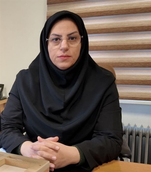 پیام تبریک مدیرکل دفتر امور اجتماعی و فرهنگی استانداری زنجان به مناسبت روز خبرنگار