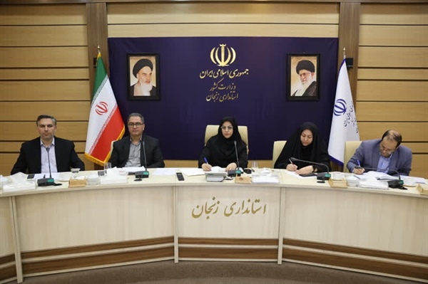 دومین جلسه کمیته مجازی استان در سال 1404 برگزار گردید