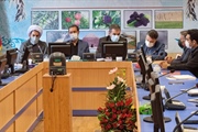 شورای اداری شهرستان طارم با حضور رحیمی مدیرکل سیاسی استانداری
