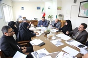 دومین جلسه کمیته سیاسی ستاد انتخابات شوراهای اسلامی شهر و روستا با تمرکز بر روی علل و عوامل و موانع مشارکت شهروندان در انتخابات ۱۱ اردیبهشت ۱۴۰۵ برگزار شد.