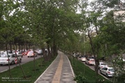 مدیرکل هواشناسی استان زنجان: وزش باد زنجان را فرا می گیرد/ بارندگی...