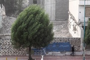 مدیرکل هواشناسی استان زنجان خبر داد: وزش باد شدید در زنجان/افت دما