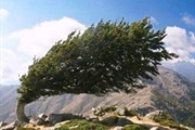 وزش باد روز طبیعت زنجان را درمی‌نوردد