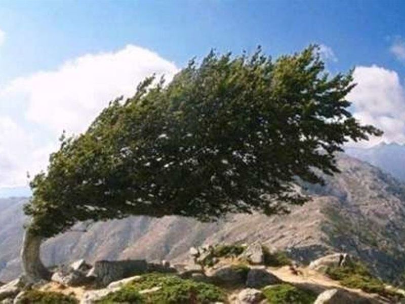 وزش باد روز طبیعت زنجان را درمی‌نوردد