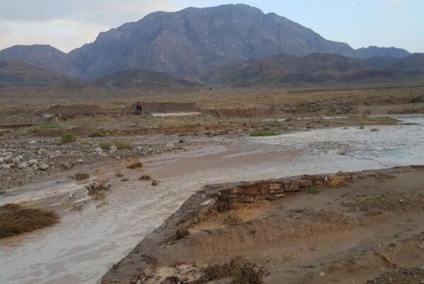 مدیر کل مدیریت بحران استان زنجان: ۳ تن از مزارع غلات زنجان دچار سیل زدگی شد