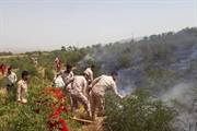 مدیرکل منابع طبیعی استان زنجان: مورد حادی از آتش‌سوزی مراتع در...