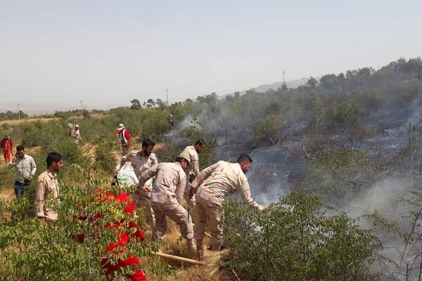 مدیرکل منابع طبیعی استان زنجان: مورد حادی از آتش‌سوزی مراتع در استان زنجان گزارش نشده است