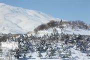 سرما و یخبندان تا پایان هفته جاری در زنجان تداوم دارد