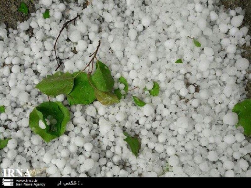 هواشناسی زنجان نسبت به وزش باد شدید و بارش تگرگ هشدار داد