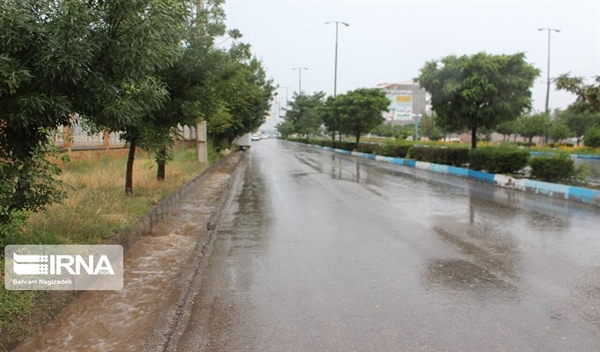 رگبار و تگرگ به مزارع و باغات ۹ روستای زنجان خسارت وارد کرد