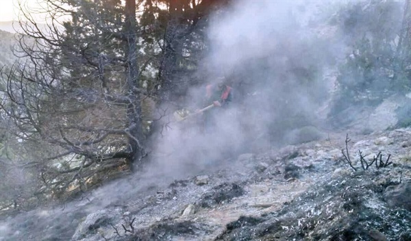 آتش سوزی در مراتع روستای ۲ اسب زنجان مهار شد
