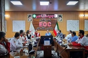 مدیرکل مدیریت بحران استان زنجان ظرفیت بخش خصوصی زنجان در مدیریت...