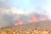 مدیرکل مدیریت بحران استانداری زنجان امسال ۹ مورد آتش سوزی مراتع در...
