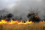 وقوع ۱۴ مورد آتش‌سوزی در مراتع زنجان