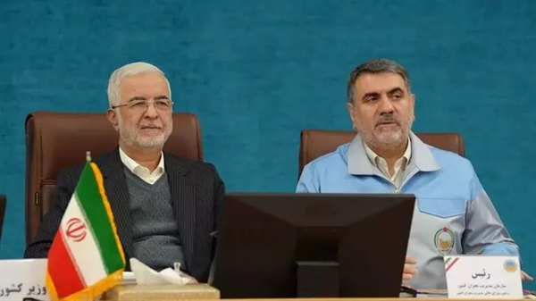 ساجدی‌نیا: از شهرداری‌ها در حوزه پیشگیری، پاسخ و ترمیم استفاده می‌کنیم