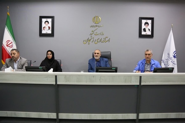معاون استاندار زنجان:موفقیت مدیریت بحران در گرو تقویت زیرساخت‌هاست