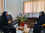دیدار سرپرست دفتر امور زنان و خانواده استانداری زنجان با مسئول امور بانوان ستاد انتخاباتی جناب آقای دکتر پزشکیان