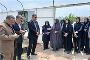 در راستای حمایت از توانمندسازی بانوان و توسعه کارآفرینی صورت گرفت