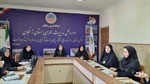 تشکیل اولین کارگروه دائمی دختران نوجوان و جوان در زنجان