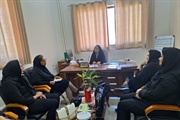 دیدار مدیر کل دفتر امور زنان و خانواده استانداری زنجان با هیئت...