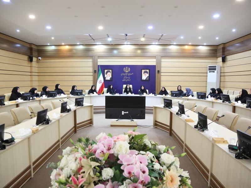 نشست بانوان فعال در ستاد انتخاباتی رئیس جمهور منتخب، دکتر پزشکیان با مدیر کل دفتر امور زنان و خانواده استانداری