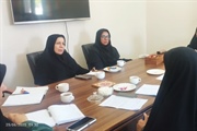 جلسه هم افزایی و هم اندیشی راهکارهای موثر در ارتقای سطح حمایتی...