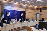 پنجمین نشست مشاورین امور بانوان و خانواده فرمانداریها، دستگاههای...