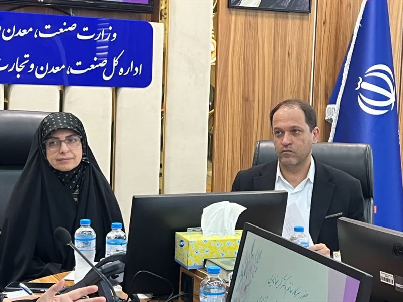 تاکید مدیرکل دفتر امور زنان و خانواده بر نقش کلیدی کارآفرینی بانوان در توسعه اقتصادی و رفع نابرابری‌ها