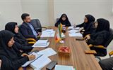 برگزاری دومین جلسه کارگروه تخصصی برنامه ریزی، نظارت و ارزیابی ذیل...