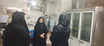 تاکید بر حمایت از بانوان کارآفرین