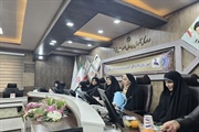 نشست هم‌اندیشی بانوان فرهنگی با مدیرکل دفتر امور زنان و خانواده...