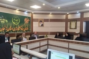 جلسه کارگروه ارتقاء وضعیت زنان روستایی و عشایری برگزار شد