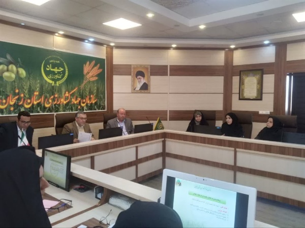 جلسه کارگروه ارتقاء وضعیت زنان روستایی و عشایری برگزار شد