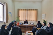 نشست مشاوران بانوان فرمانداری‌های استان زنجان برگزار شد