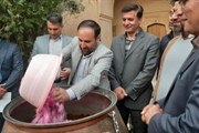 برگزاری اولین دوره جشنواره گل محمدی و گلابگیری در سلطانیه
