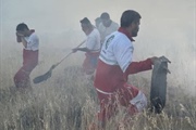 مهار آتش سوزی در طارمات سلطانیه