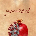 📛جمع نشویم تا کم نشویم...  #یلدا_درخانه_بمانیم #کرونا_تمام_نشده   👈پیام توسعه آبادی @P_T_Abadi