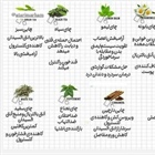 #سلامتی خواص دم نوش ها... ☕   👈پیام توسعه آبادی @P_T_Abadi