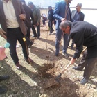 کاشت یک اصله نهال  به یاد شهید حاج قاسم سلیمانی - روستای مجینه بخش مرکزی زنجان