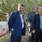 حضور مدیران دستگاه های اجرایی ، نماینده مردم شریف زنجان و طارم در مجلس شورای اسلامی و فرماندار زنجان در روستاهای دهستان تهم با هماهنگی بخشداری مرکزی زنجان