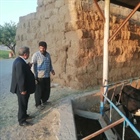 بازدید میدانی مهندس رستمی بخشدار مرکزی زنجان از روستای والارود