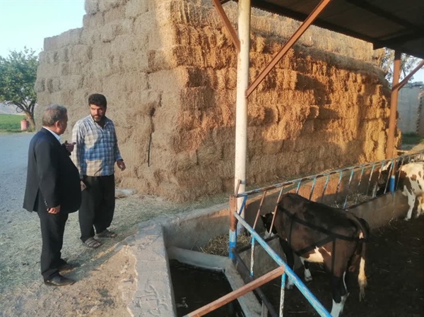 بازدید میدانی مهندس رستمی بخشدار مرکزی زنجان از روستای والارود