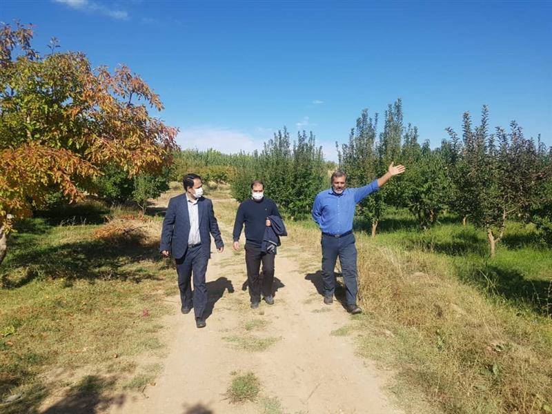 بازدید ولی بیگلوئی بخشدار زنجانرود از مسیر گاز روستای رضا آباد