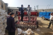 کشت دیم گندم به روش مستقیم برای اولین بار در شهرستان زنجان در...