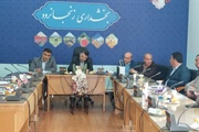 جلسه بررسی مسائل و موانع واحدهای سرمایه گذاری و اقتصادی مستقر در...